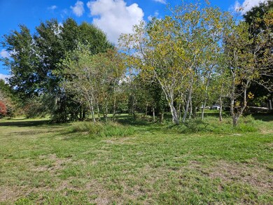 Tract 11 Megan Dr, Fairchilds, TX 77461 - photo 3