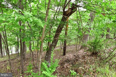 1229 Lakeview Dr, Cross Junction, VA 22625 - photo 7