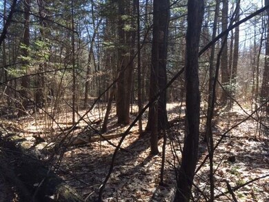 0 Mill Pond Rd, Durham, ME 04222 - photo 3