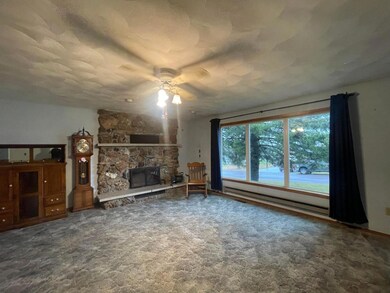 29987 County Road 5, Dakota, MN 55925 - photo 4