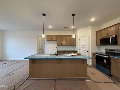 215 Pretty Run Branch Ln, Wendell, NC 27591 - photo 3