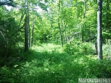 0 Moser Dr unit 4592322, Webster, WI 54893 - photo 6