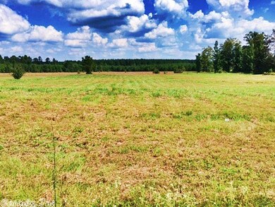 0 Arkansas 35, Sheridan, AR 72150 - photo 2