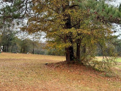 4 Cr 428, Paris, MS 38655 - photo 4