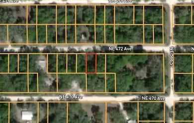 0 NE 472nd Ave, Old Town, FL 32680 - photo 2
