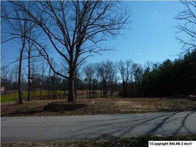 2.9 acre building site in Trinity. Several large trees at the front. Cleared and ready to build on.