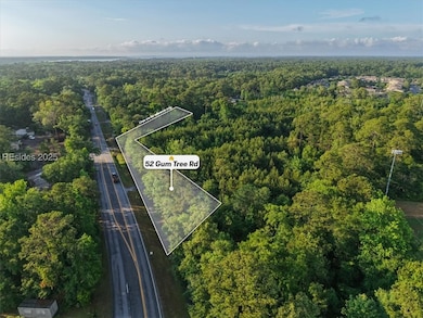 52 Gumtree Rd, Hilton Head Island, SC 29926 - photo 7