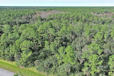 4669 32nd Ave SE, Rural Estates, FL 34117 - photo 4