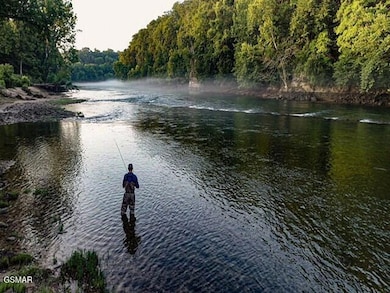 river mist - 2049 (28)