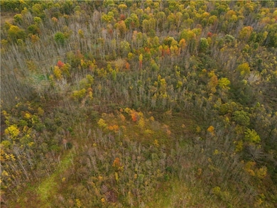 8188 New York 104a, Wolcott, NY 14590 - photo 7