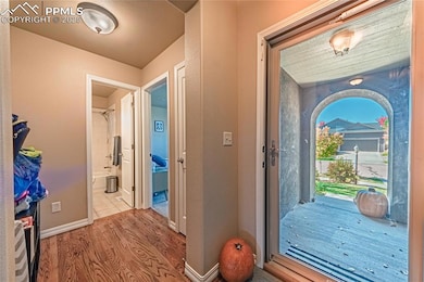 5035 Petrified Forest Trail, Colorado Springs, CO 80924 - photo 4