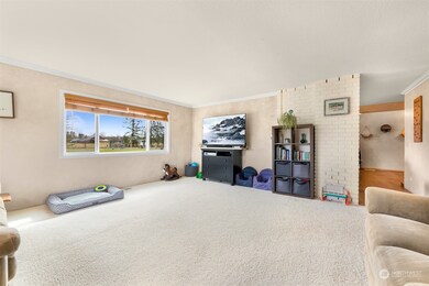 3941 Loomis Trail Rd, Blaine, WA 98230 - photo 7