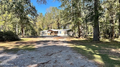 203 Goodman Rd, Pelahatchie, MS 39145 - photo 2