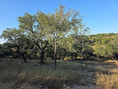 201 Sycamore Valley Rd, Dripping Springs, TX 78620 - photo 7