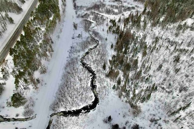 TBD U S 131, Boyne Falls, MI 49713 - photo 6