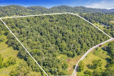 8355 Wagner Rd, Bristol, VA 24202 - photo 3