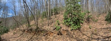 27 Pathfinder Trail, Asheville, NC 28806 - photo 6