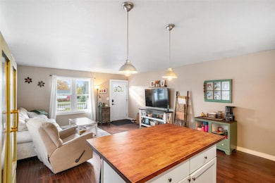 5829 Springvale Rd, Boyne Falls, MI 49713 - photo 5