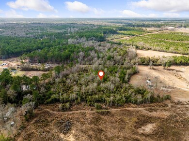 0 Evelyn Gandy Place unit 141306, Hattiesburg, MS 39402 - photo 6