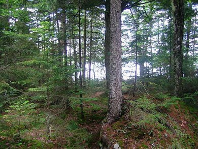 Land/Lot.