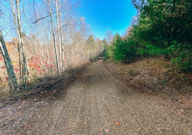 0 Shelor Rd SW, Meadows Dan, VA 24120 - photo 7