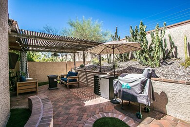 Backyard 1