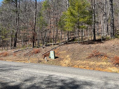 TBD New River Oaks Dt, Austinville, VA 24312 - photo 2