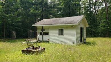 970 W 14 Mile Rd, Bitely, MI 49309 - photo 4