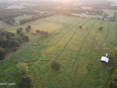 0000 Gazelle Dr, Neosho, MO 64850 - photo 6