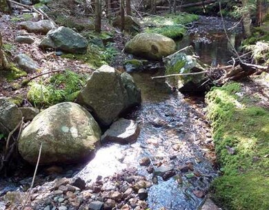 Other. Brook border