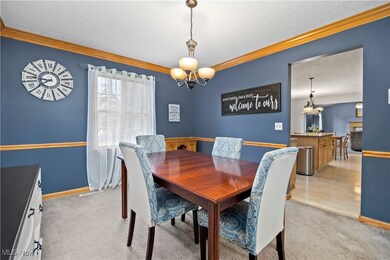 8447 Forest View Dr, Olmsted Falls, OH 44138 - photo 6