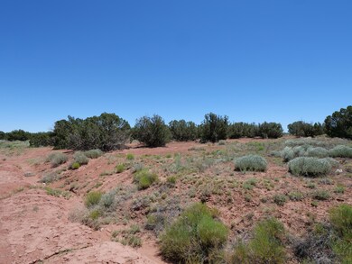 P1000165