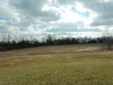 Back Field