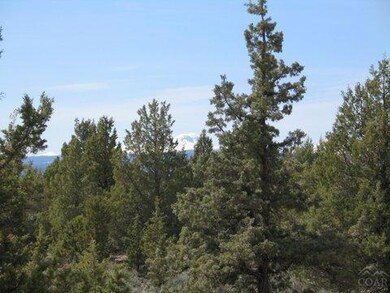 8 Drover Way, Bend, OR 97702 - photo 7