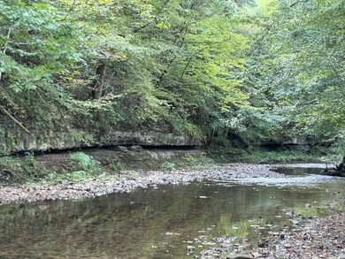 1971 Short Creek Rd, Linden, TN 37096 - photo 6