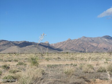 TBD Central Rd (Corner of Orange), Pearce, AZ 85625 - photo 5