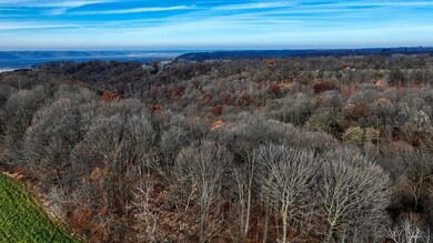 65566 Desoto Ridge Dr, Freeman, WI 54624 - photo 7