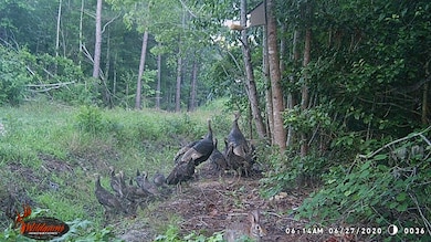 1354 Bryantown Rd, Rich Square, NC 27869 - photo 7