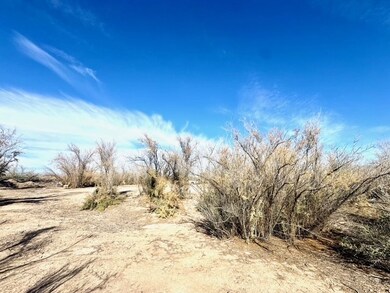 2811 Harold Place, Mohave Valley, AZ 86440 - photo 4