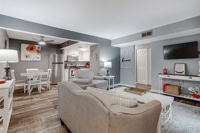 1419 Durango Ln unit 1, Fenton, MO 63026 - photo 6