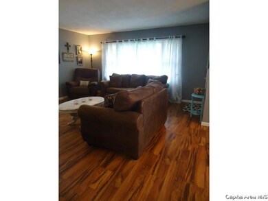 651 S East St, Virginia, IL 62691 - photo 5