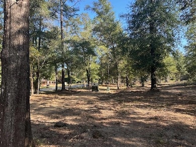 0 Newman Rd unit 7670125, Mobile, AL 36695 - photo 4