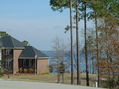 River View from Lot #2