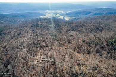 85.39AC Round Cove Rd, Cookeville, TN 38501 - photo 4