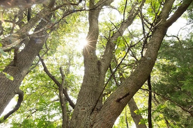 TBD U S 34, Lockridge, IA 52635 - photo 4