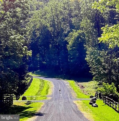 873 Timberland Manor Dr, Bentonville, VA 22610 - photo 2