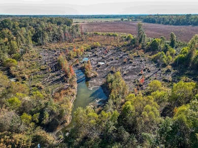 County Road 168, Morgan, GA 39866 - photo 2