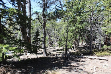 unlisted-address, Idaho Springs, CO 80436 - photo 4