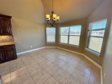 3236 Ferry Boat Ln, Granbury, TX 76049 - photo 7