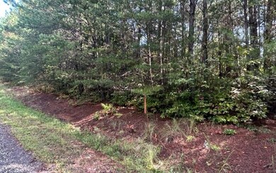 Additional View
